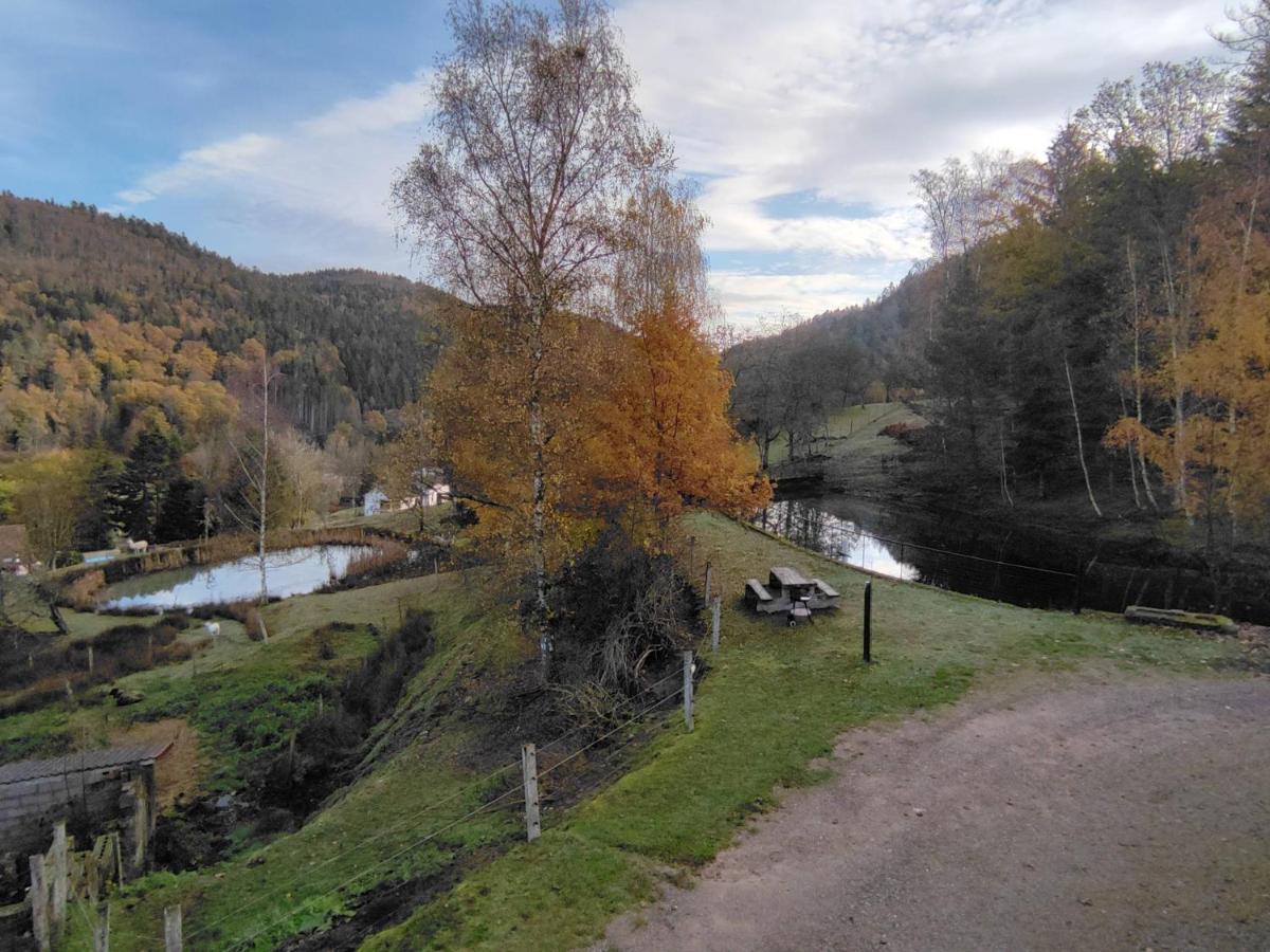 A l'Orée du Bois Dommartin-lès-Remiremont Esterno foto